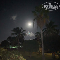 фото из отзыва ID 2084223