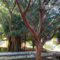 фото из отзыва ID 2084223