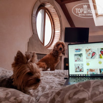 фото из отзыва ID 2084246