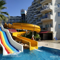 фото из отзыва ID 2084296