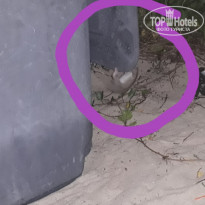 фото из отзыва ID 2083549