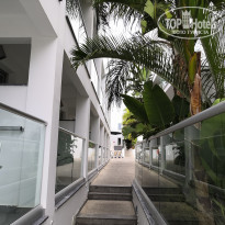 фото из отзыва ID 2084385