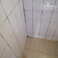 фото из отзыва ID 2083983