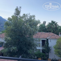 фото из отзыва ID 2084460