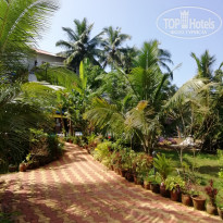 фото из отзыва ID 2084487