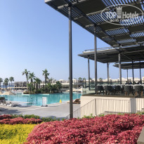 фото из отзыва ID 2084527