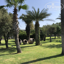 фото из отзыва ID 2084527