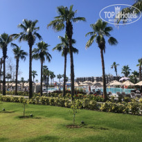 фото из отзыва ID 2084527