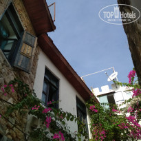 фото из отзыва ID 2084613