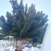 фото из отзыва ID 2084638