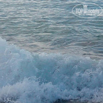 фото из отзыва ID 2084638