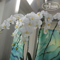 фото из отзыва ID 2084734
