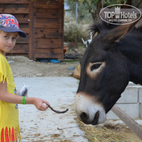 фото из отзыва ID 2084732