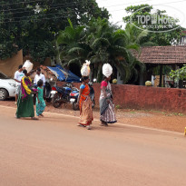 фото из отзыва ID 2084727