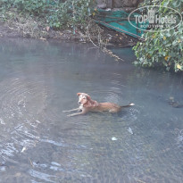 фото из отзыва ID 2084727