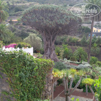 фото из отзыва ID 2084824