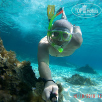 фото из отзыва ID 2084385