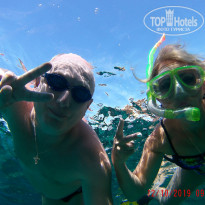 фото из отзыва ID 2084385