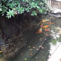 фото из отзыва ID 2084840