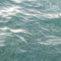 фото из отзыва ID 2084854