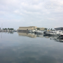 фото из отзыва ID 2084859