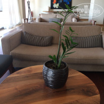 фото из отзыва ID 2084859