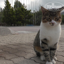 фото из отзыва ID 2084859