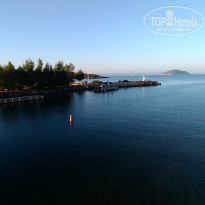 фото из отзыва ID 2084859