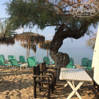 фото из отзыва ID 2084859