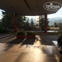 фото из отзыва ID 2084859