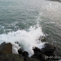 фото из отзыва ID 2084218