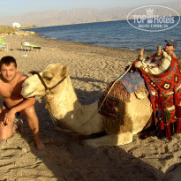 фото из отзыва ID 2084920