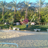 фото из отзыва ID 2084920