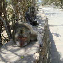 фото из отзыва ID 2084865