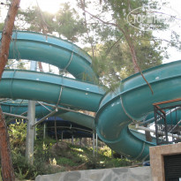 фото из отзыва ID 2084961