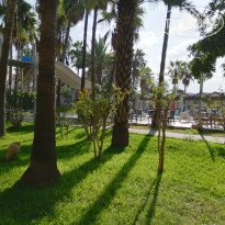 фото из отзыва ID 2085027