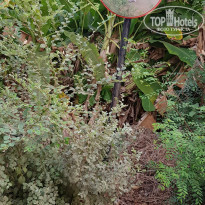 фото из отзыва ID 2085047