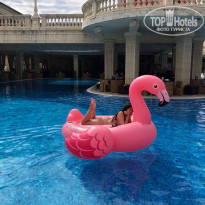 фото из отзыва ID 2085093