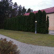 фото из отзыва ID 2085105