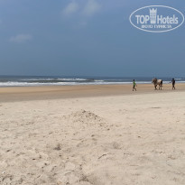 фото из отзыва ID 2085149