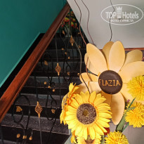 фото из отзыва ID 2085149