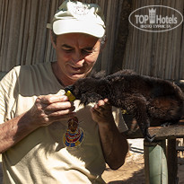 фото из отзыва ID 2085164