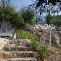 фото из отзыва ID 2085052