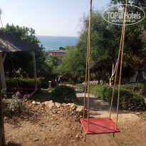 фото из отзыва ID 2085052