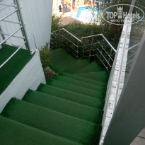 фото из отзыва ID 2085052