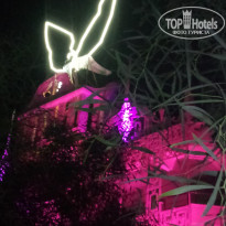 фото из отзыва ID 2085052