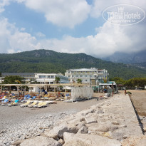 фото из отзыва ID 2085197