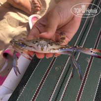 фото из отзыва ID 2085248