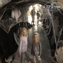 фото из отзыва ID 2085289