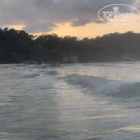 фото из отзыва ID 2085347